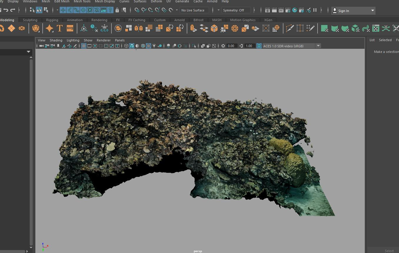 Data Collection Process